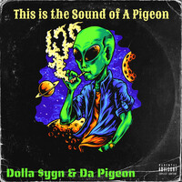 This Is the Sound of a Pigeon