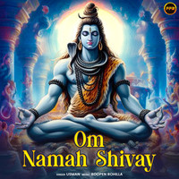 Om Namah Shivay