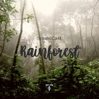 Rainforest