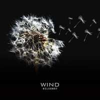 Wind