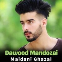 Maidani Ghazal