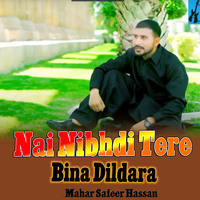 Nai Nibhdi Tere Bina Dildara