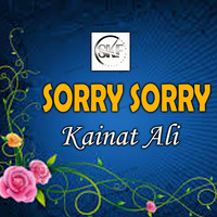 Sorry Sorry