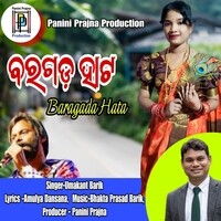 Bargarh Hata