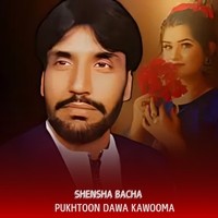 Pukhtoon Dawa Kawooma