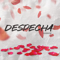 Despecha (Guaracha)