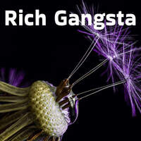 Rich Gangsta
