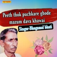 Peeth thok puchkare ghode mazum dava khawai