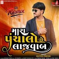 Mara Panchalo Chhe Lajavab (DJ Remix)