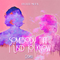 Somebody That I Used To Know (Remix)