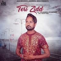 Teri Zidd