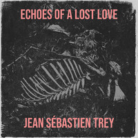 Echoes of a Lost Love