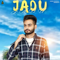 Jadu