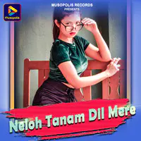 Neloh Tanam Dil Mere