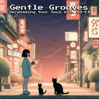 Gentle Grooves Serenading Your Soul with Lo Fi