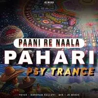 Paani Re Naala Pahari Psy Trance