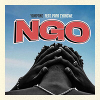 Ngo