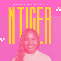 N TiGer Essentials, Vol. 2 (Sped Up)