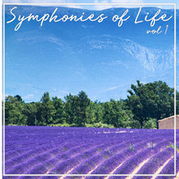 Symphonies Of Life, Vol. 1