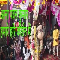 Aana Pawan Kumar Hamare Hari Kirtan Main