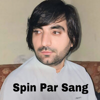 Spin Par Sang