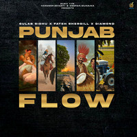 Punjab Flow