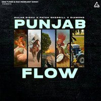 Punjab Flow