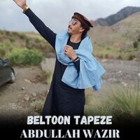 Beltoon Tapeze