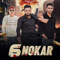 6 Nokar