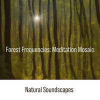 Forest Frequencies: Meditation Mosaic