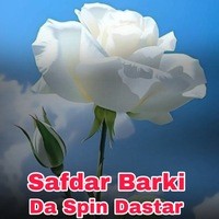 Da Spin Dastar