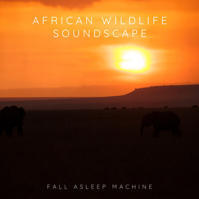 African Night Sounds (Crickets and Other Wild Animals) MP3 Song