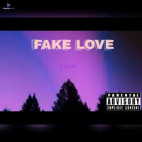 Fake Love