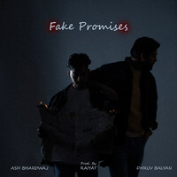 Fake Promises