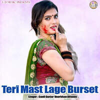 Teri Mast Lage Burset