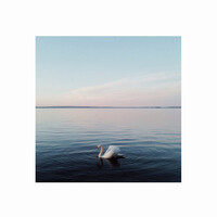 Swan Lake