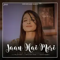 Jaan Hai Meri