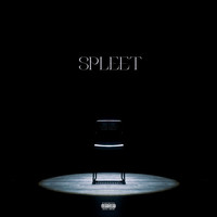 SPLEET