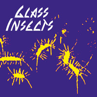 Glass Insects