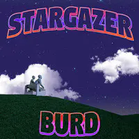 Stargazer