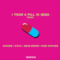 I Took A Pill In Ibiza Remix