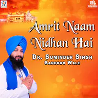 Amrit Naam Nidhan Hai