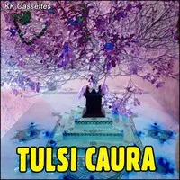 Tulsi Caura