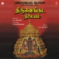 Thiru Venkata Nilayam