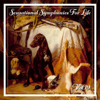 Sensational Symphonies For Life, Vol. 19