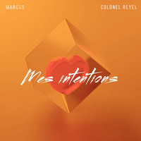 Mes intentions