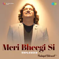 Meri Bheegi Si - Unplugged
