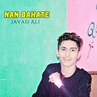 Nan Bahate