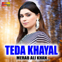 Teda Khayal