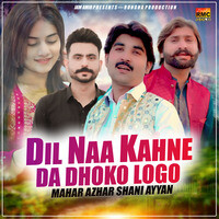 Dil Naa Kahne Da Dhoko Logo